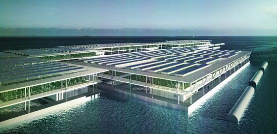 FLOATING FARMS